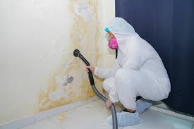 Trusted Sam Rayburn, TX Mold Remediation Experts